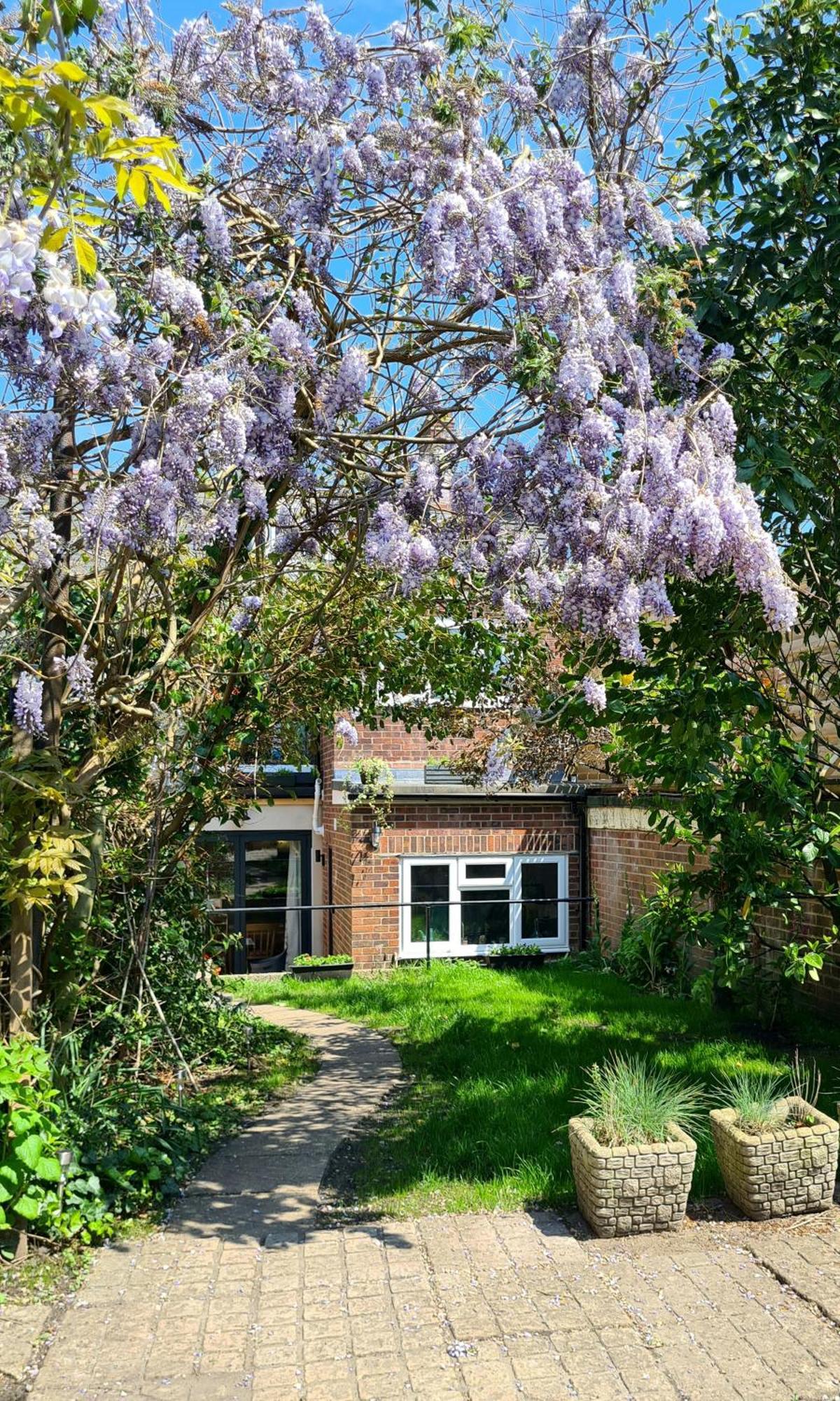 Villa The Hideaway - Luxury Townhouse Wareham Exterior foto